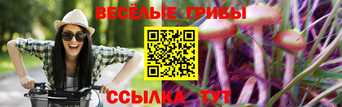 Псилоцибиновые грибы Cubensis  Вход с VPN  Самара 